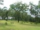 Lot 244 Lake Russell Drive, Emerald Beach NSW 2456
