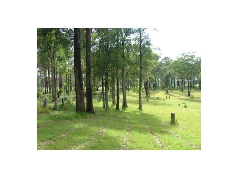 Lot 244 Lake Russell Drive, Emerald Beach NSW 2456