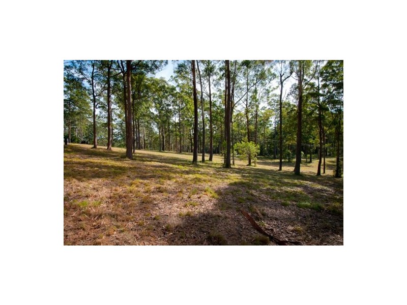 21 Gillards Road, Bucca NSW 2450