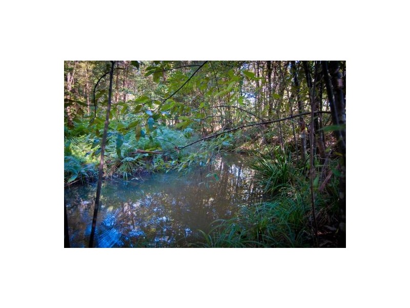 1120 Bucca Road, Bucca NSW 2450