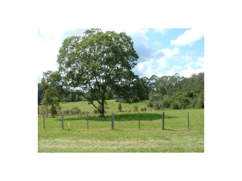 Proposed Lot 1  1560 Bucca Road, Nana Glen NSW 2450