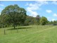Proposed Lot 1  1560 Bucca Road, Nana Glen NSW 2450