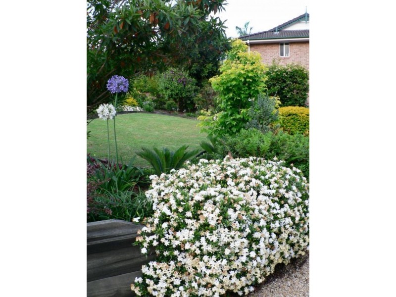 6  Koel Place, Boambee East NSW 2452