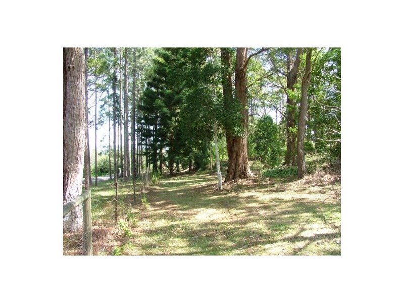 16 Kingfisher Avenue, Glenreagh NSW 2450