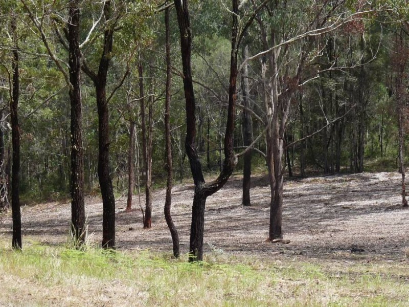 Lot 34 Cowling Close, Nana Glen NSW 2450