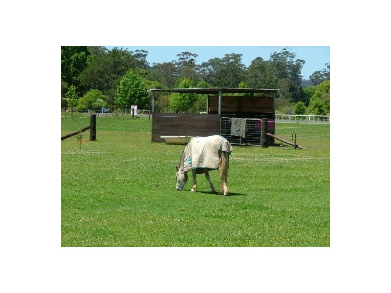 10 Cowling Close, Nana Glen NSW 2450