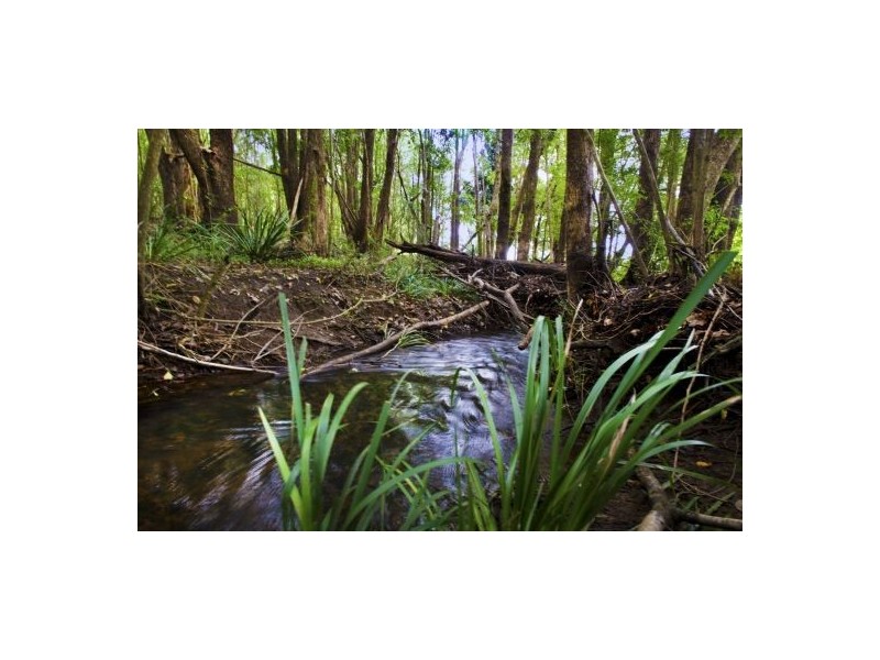 92 Bakker Drive, Bonville NSW 2441