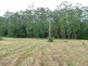 Lot 201 Bucca Road, Nana Glen NSW 2450