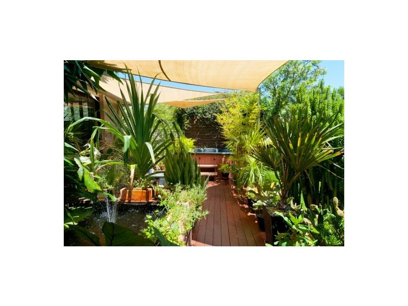 6 Paddymelon Circuit, Bonville NSW 2441