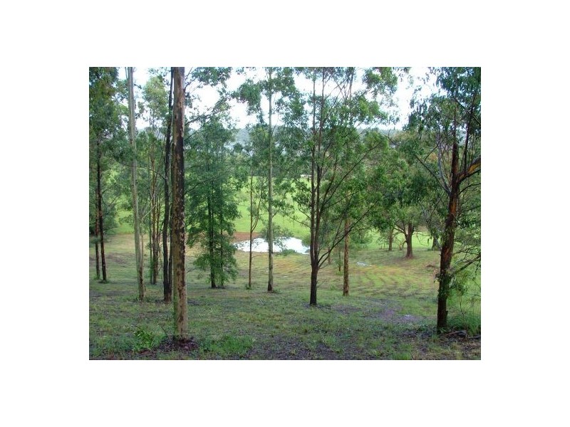 114 Coldwater Creek Rd, Nana Glen NSW 2450