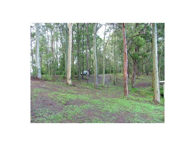114 Coldwater Creek Rd, Nana Glen NSW 2450