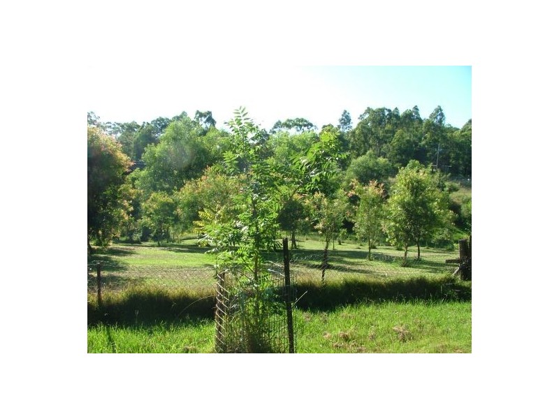 10 Alexander Street, Nana Glen NSW 2450