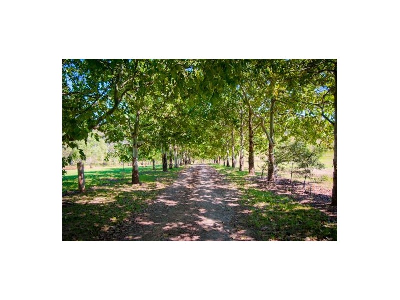 73 Lurcocks Creek Rd, Glenreagh NSW 2450