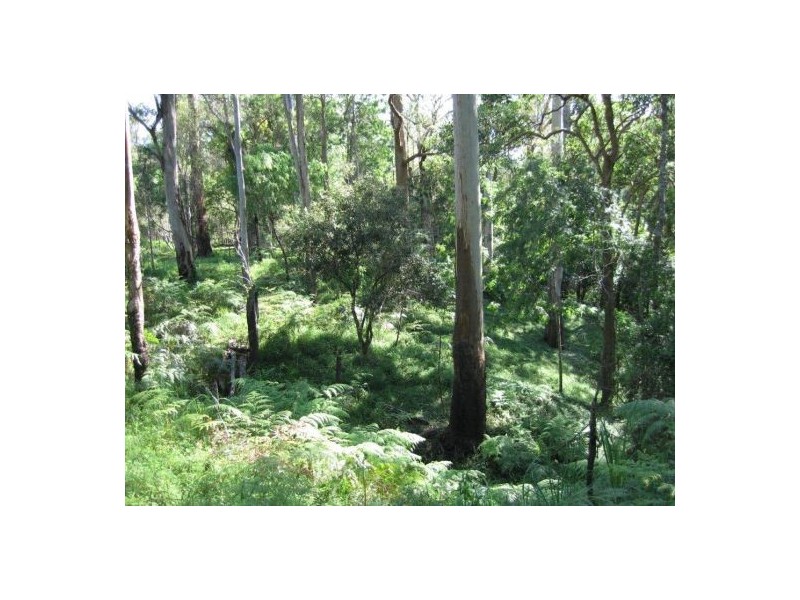 250 Curlew Drive, Coffs Harbour NSW 2450