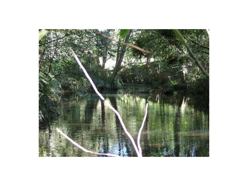 61B McPhersons Road, Nana Glen NSW 2450