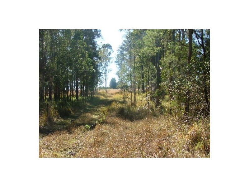 314 Omega Dr, Kungala NSW 2460