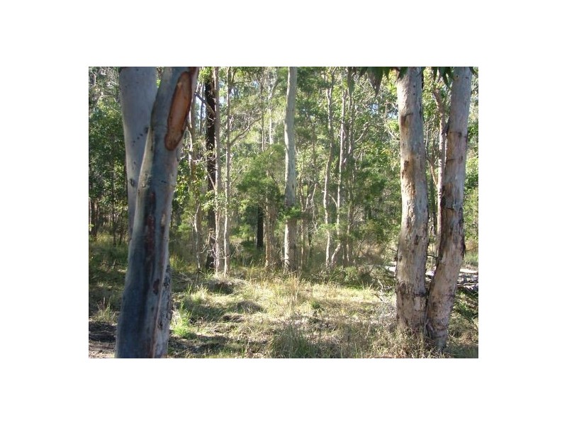 314 Omega Dr, Kungala NSW 2460