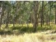 314 Omega Dr, Kungala NSW 2460