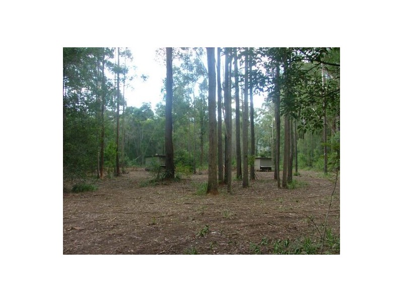 70 Avondale Rd, Bucca, Coffs Harbour NSW 2450