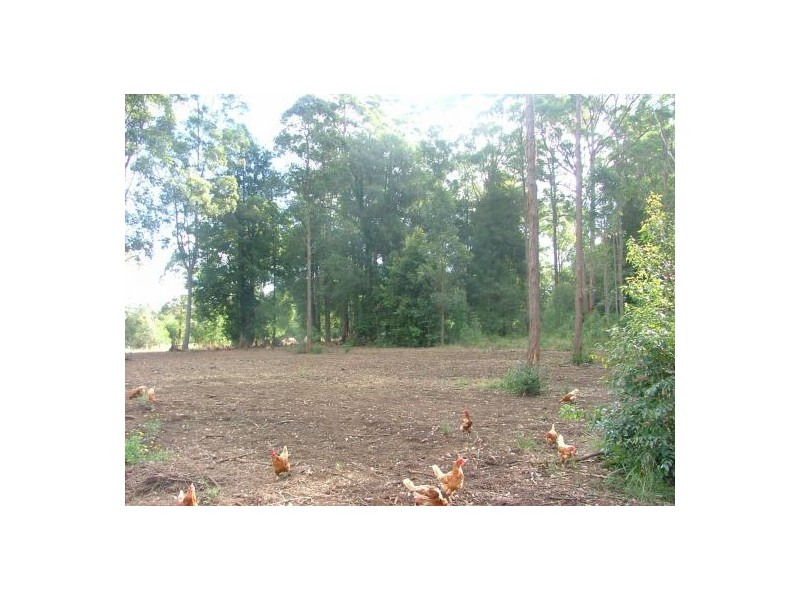 70 Avondale Rd, Bucca, Coffs Harbour NSW 2450