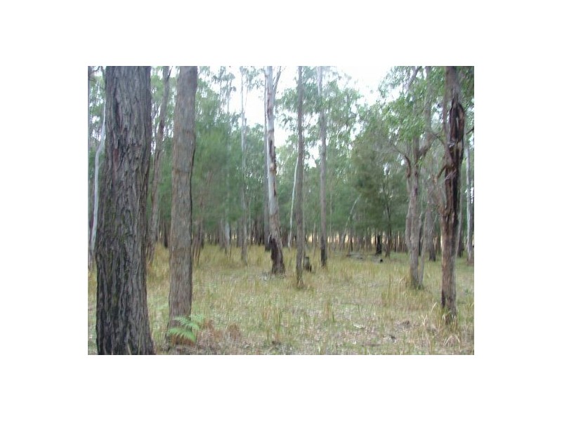 Lot 41 Browns Road, Halfway Creek NSW 2460