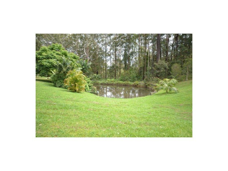 53 Mardells Road, Bucca NSW 2450