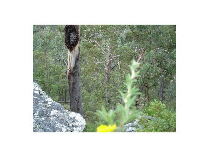 Lot 5 Blackbutt Road, Kungala NSW 2460