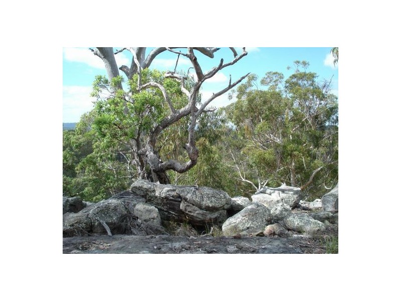 Lot 5 Blackbutt Road, Kungala NSW 2460