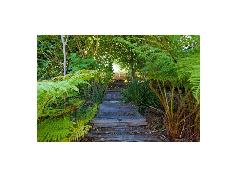 43 Ibis Drive, Boambee East NSW 2452