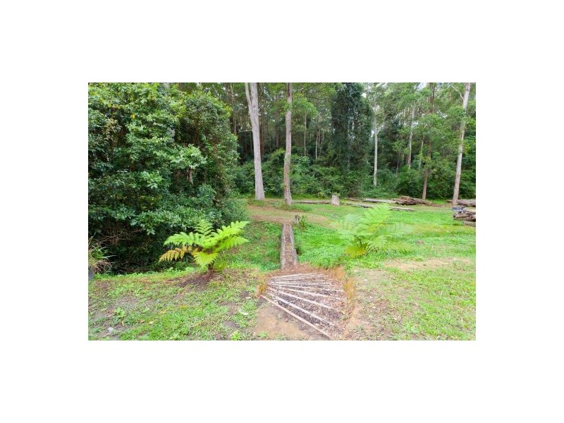 236 Johnsons Road, Sandy Beach NSW 2456