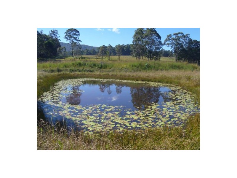 154 Morrows Road, Nana Glen NSW 2450