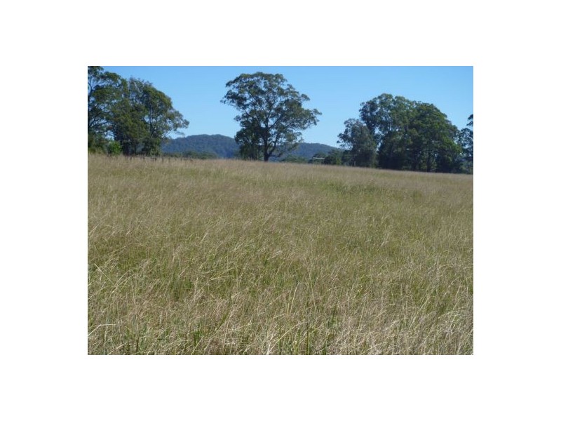 154 Morrows Road, Nana Glen NSW 2450