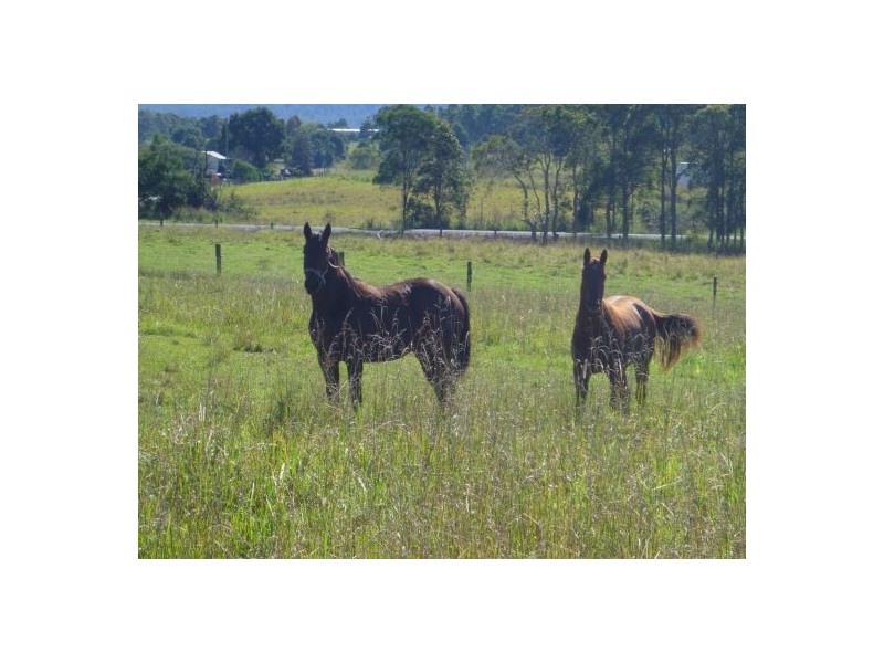 154 Morrows Road, Nana Glen NSW 2450