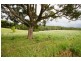 113 East Bonville Road, Bonville NSW 2441