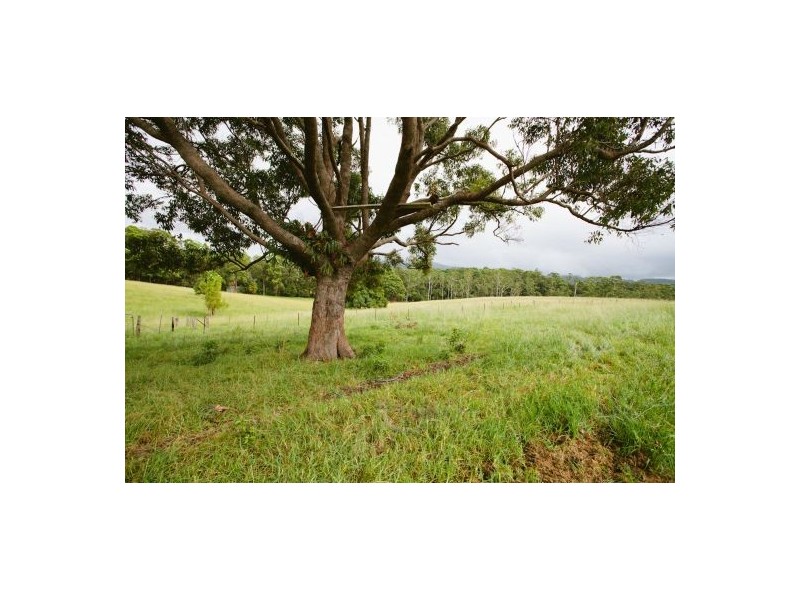 113 East Bonville Road, Bonville NSW 2441