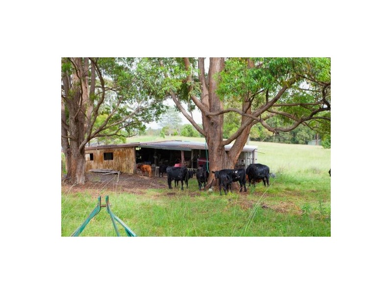 113 East Bonville Road, Bonville NSW 2441