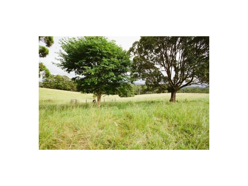 113 East Bonville Road, Bonville NSW 2441