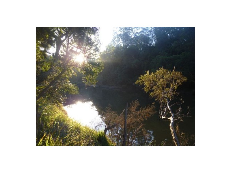 410 McGills Road, Kungala NSW 2460