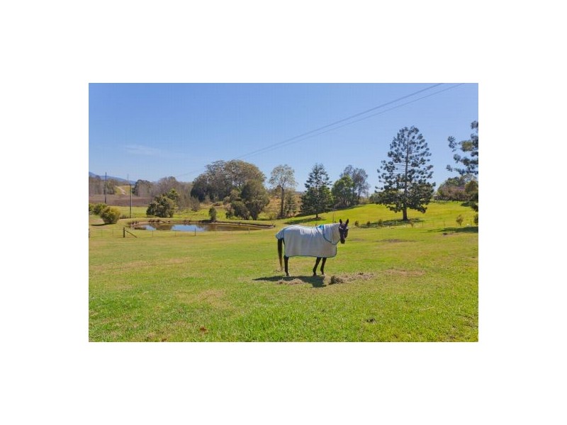 50 Short Cut Road, Raleigh NSW 2454