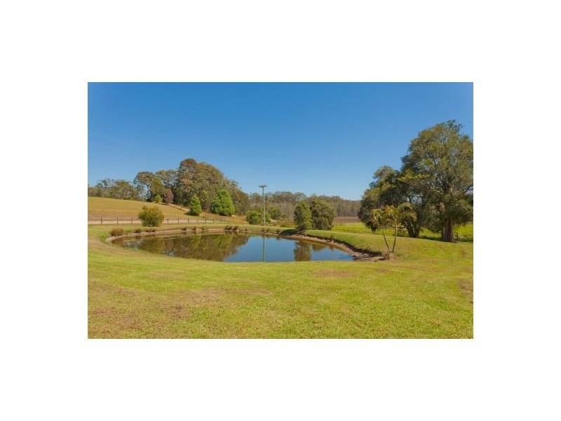 50 Short Cut Road, Raleigh NSW 2454