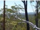 241 Mcgills Road, Kungala NSW 2460