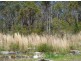 241 Mcgills Road, Kungala NSW 2460