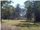 239 Lurcocks Creek Road, Glenreagh NSW 2450