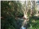 239 Lurcocks Creek Road, Glenreagh NSW 2450