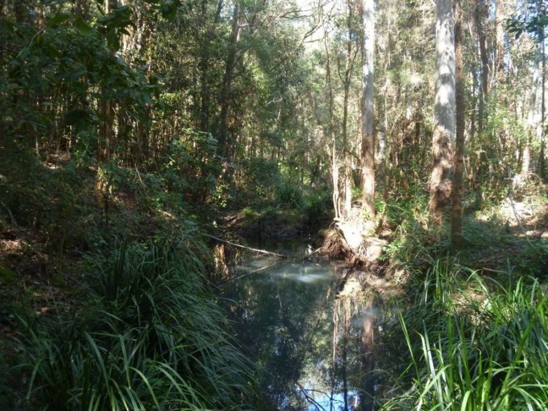 239 Lurcocks Creek Road, Glenreagh NSW 2450