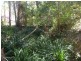 239 Lurcocks Creek Road, Glenreagh NSW 2450