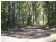 239 Lurcocks Creek Road, Glenreagh NSW 2450