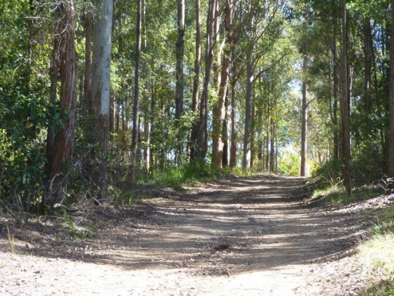 239 Lurcocks Creek Road, Glenreagh NSW 2450