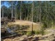 239 Lurcocks Creek Road, Glenreagh NSW 2450