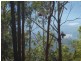 239 Lurcocks Creek Road, Glenreagh NSW 2450